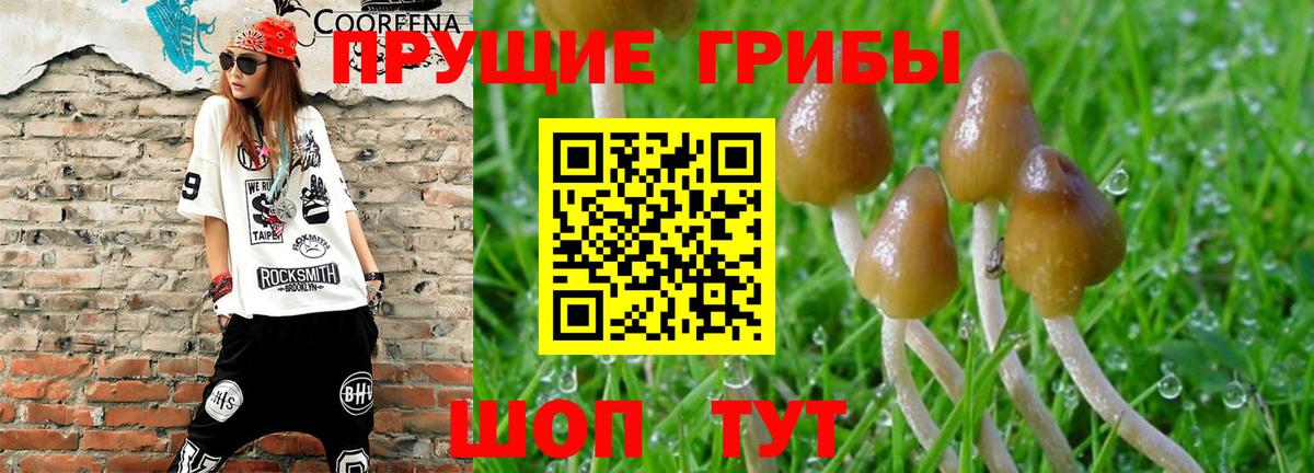 Кумертау  Галлюциногенные грибы Magic Shrooms  Вход с VPN 
